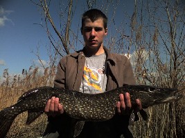 Мой друг Александр в Касковском озере поймал щуку весом 7600гр